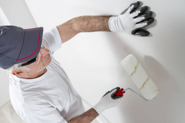 Mold Remediation for Vacation Homes in New Ulm, MN