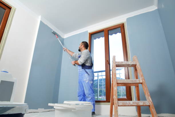  New Ulm, MN Mold Removal Pros