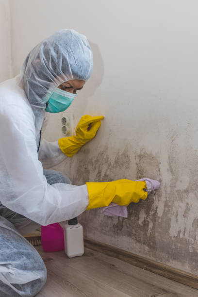 Best Indoor Air Quality Assessment  in New Ulm, MN
