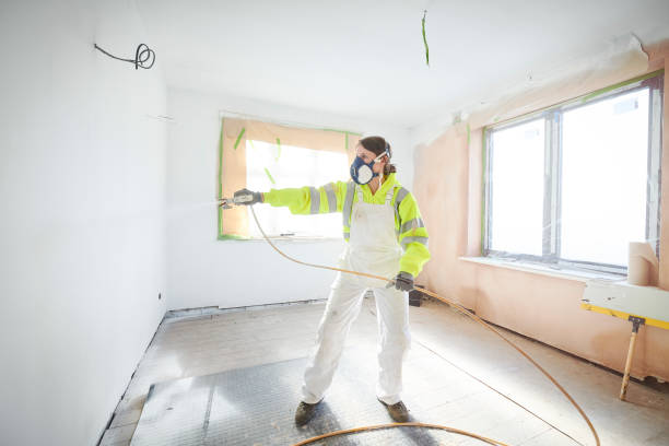 Best Mold Remediation for Vacation Homes  in New Ulm, MN