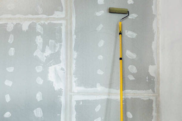 Best Comprehensive Air Testing for Mold Contaminants  in New Ulm, MN