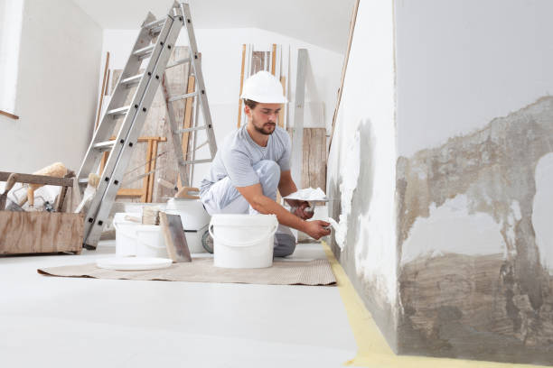 Best Industrial Mold Remediation  in New Ulm, MN