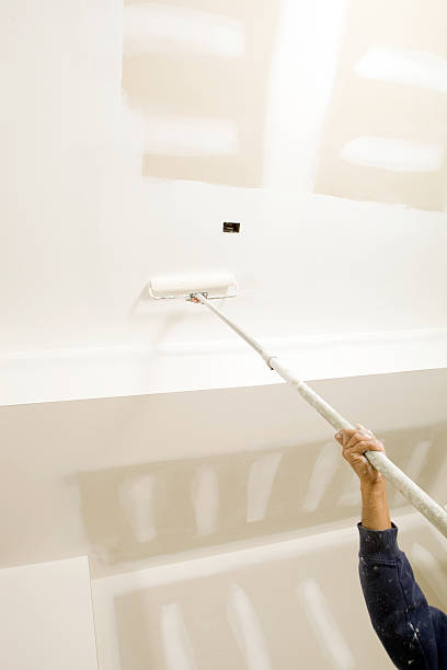 Best Residential Mold Inspection & Testing  in New Ulm, MN