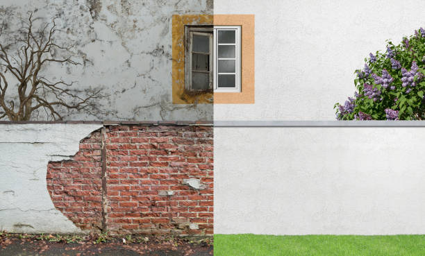 Mold Odor Removal Services in New Ulm, MN