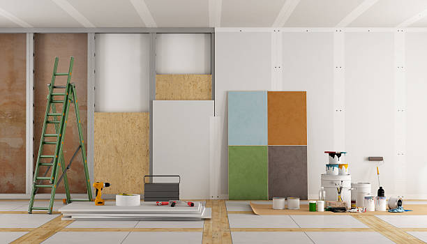 Best Black Mold Removal  in New Ulm, MN