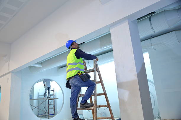Best Commercial Mold Inspection  in New Ulm, MN