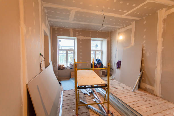 Mold Documentation for Insurance Claims in New Ulm, MN